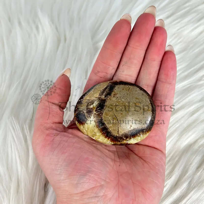 Septarian Palm Piece