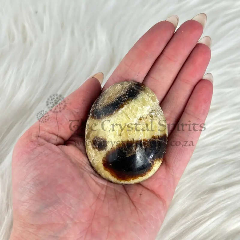 Septarian Palm Piece