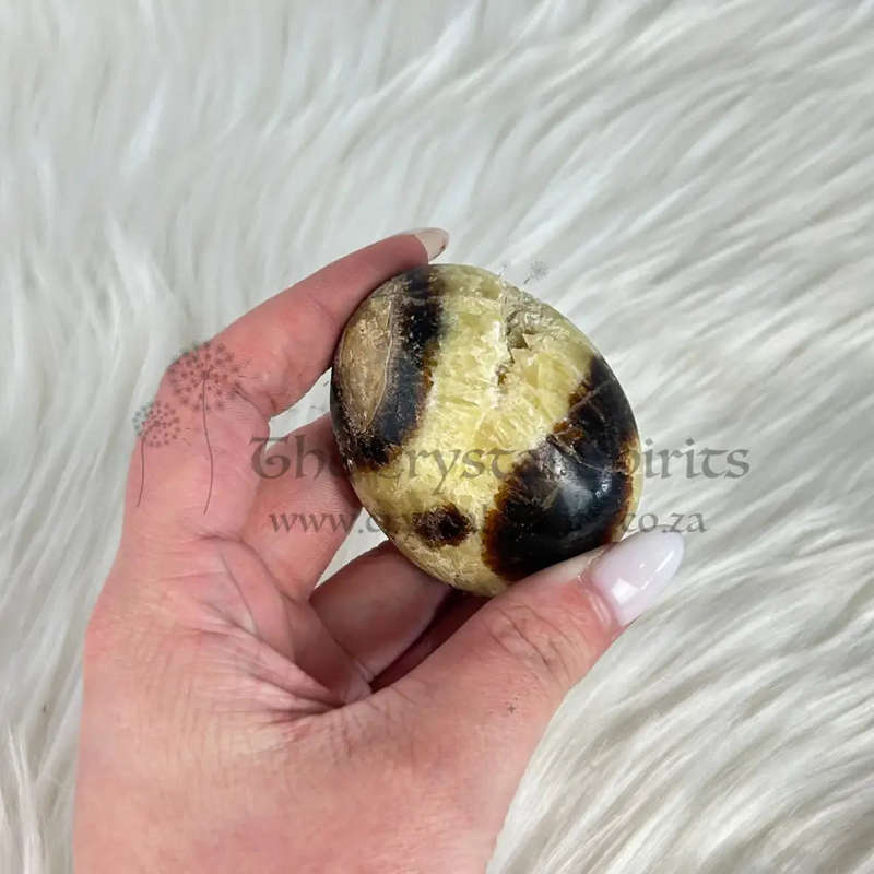 Septarian Palm Piece