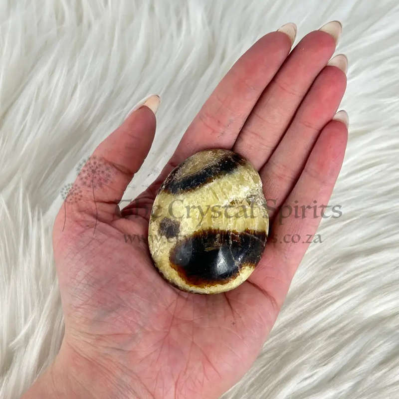 Septarian Palm Piece