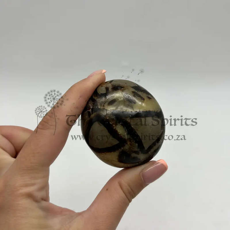 Septerye Palm Piece