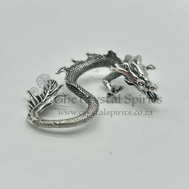 Silver Dragon Mythical And Magical