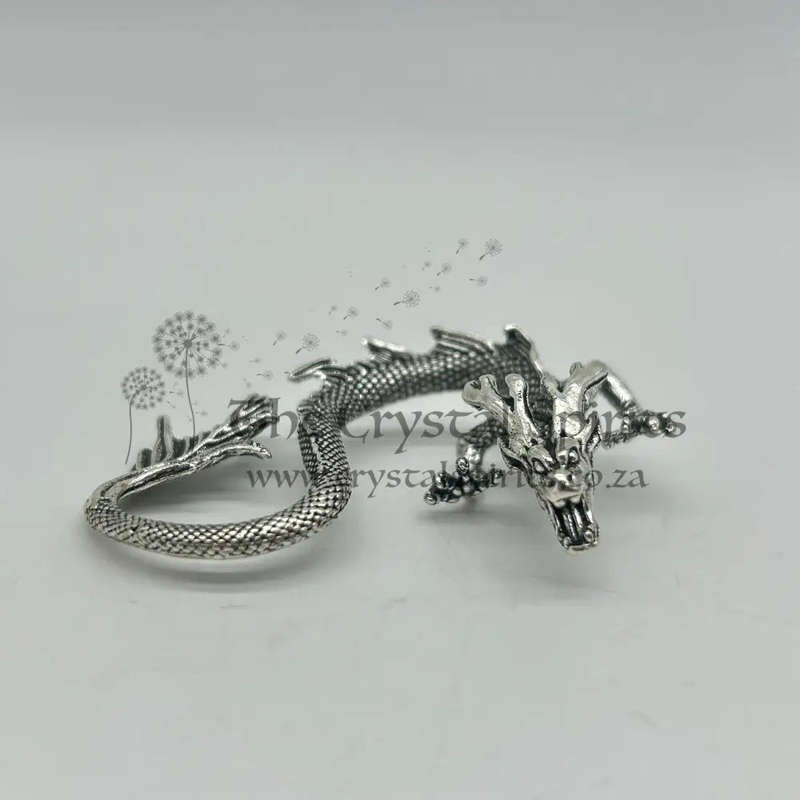 Silver Dragon Mythical And Magical
