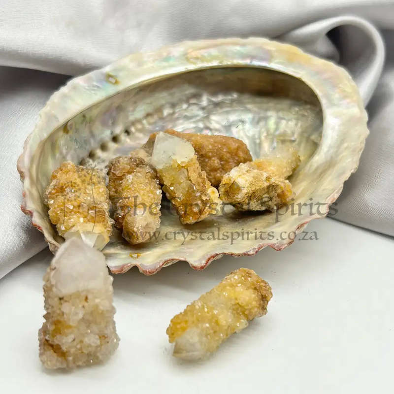 Small Cactus Quartz
