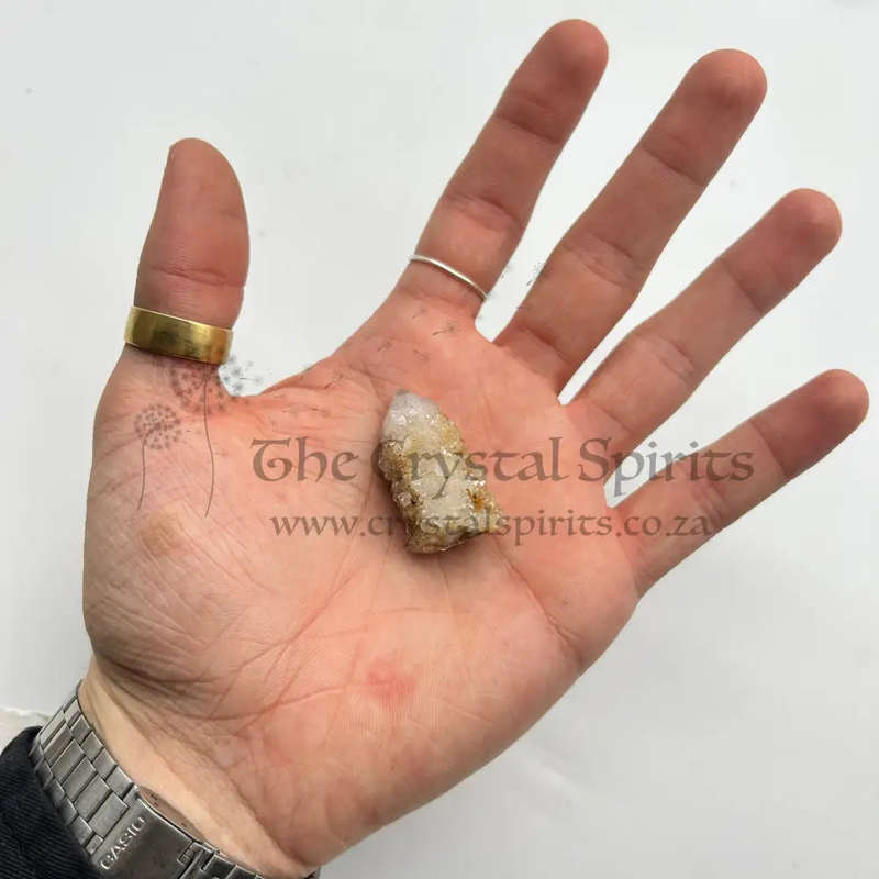 Small Cactus Quartz
