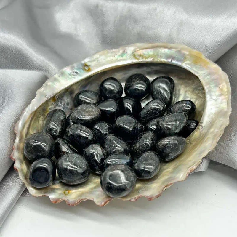 Small Tumbled Astrophyllite