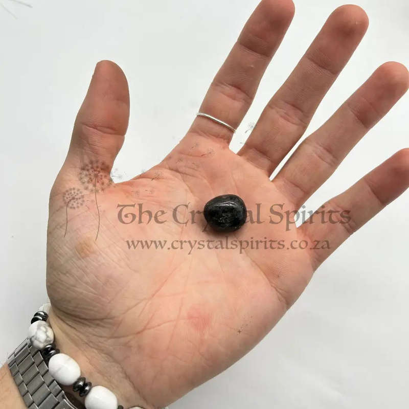 Small Tumbled Astrophyllite