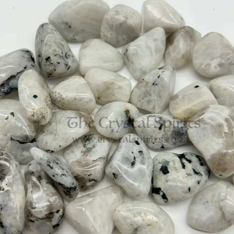 Small Tumbled Moonstone