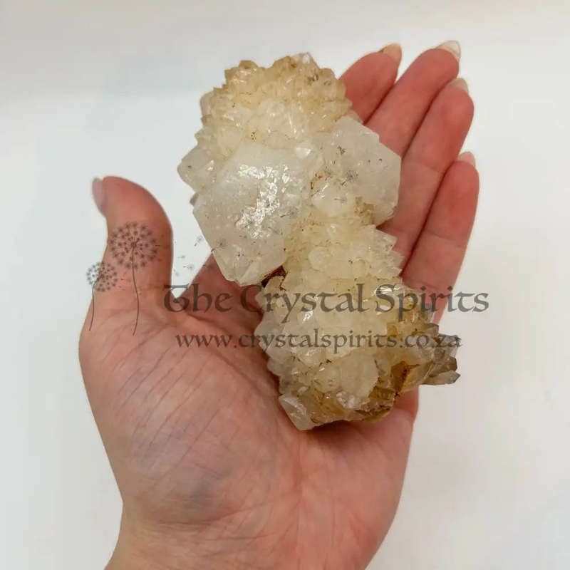 Smoky Cactus Quartz