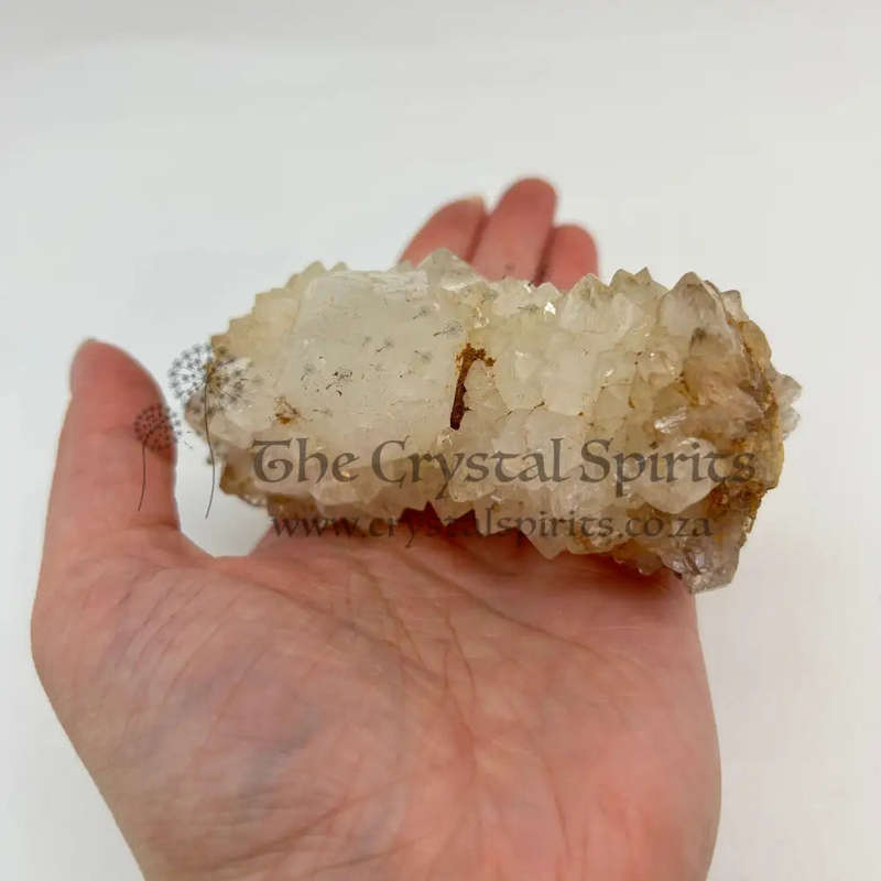 Smoky Cactus Quartz