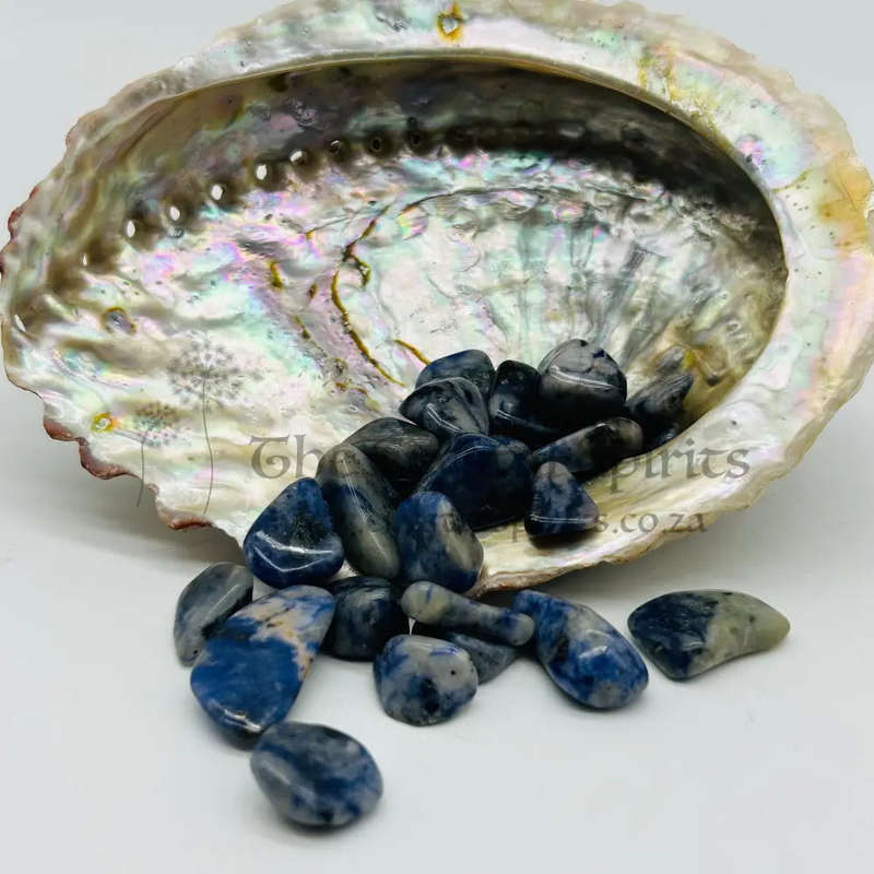 Sodalite Tumbled Small