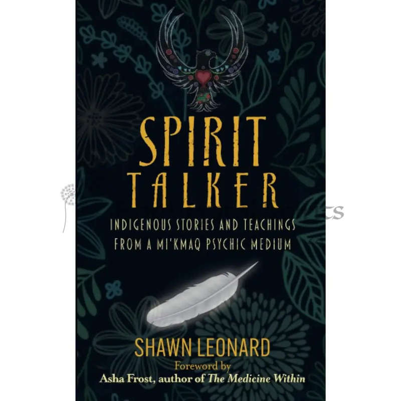 Spirit Talker: Indigenous Stories and Teachings from a Mikmaq Psychic Medium by Shawn Leonard