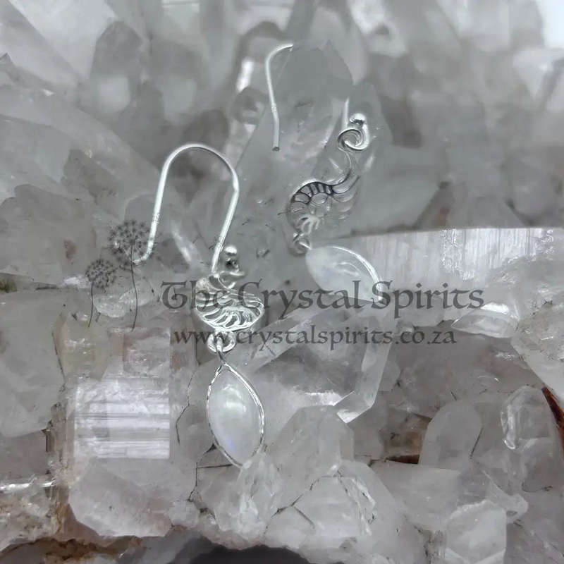 Sterling Silver Moonstone Shell Earrings