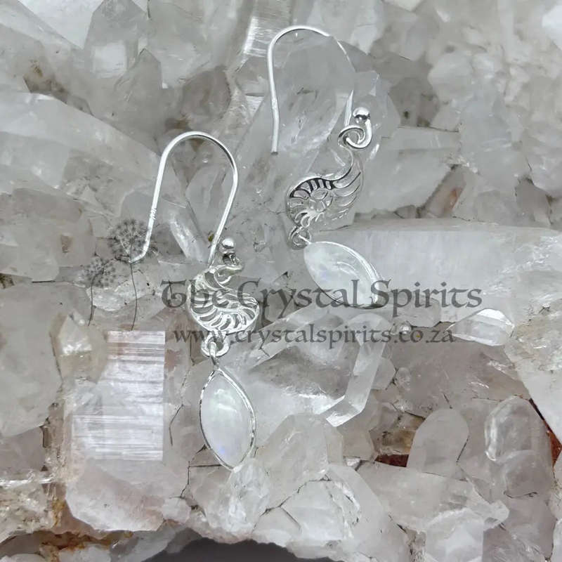 Sterling Silver Moonstone Shell Earrings