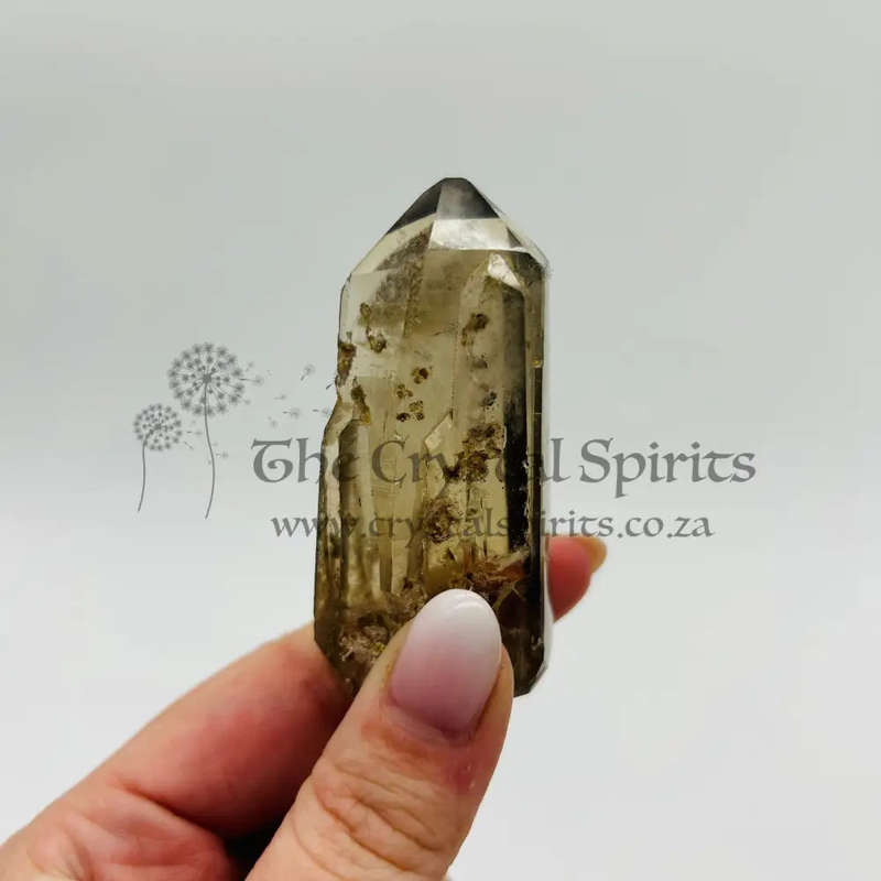 Tabby Dolphin Smoky Quartz