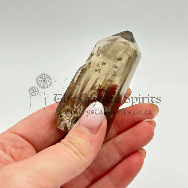 Tabby Dolphin Smoky Quartz