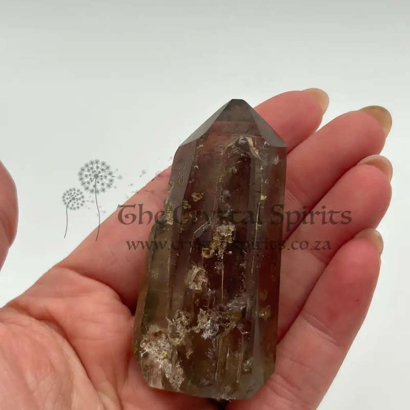 Tabby Dolphin Smoky Quartz