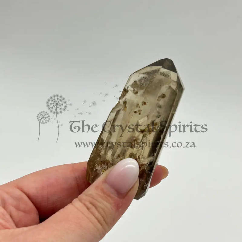Tabby Dolphin Smoky Quartz