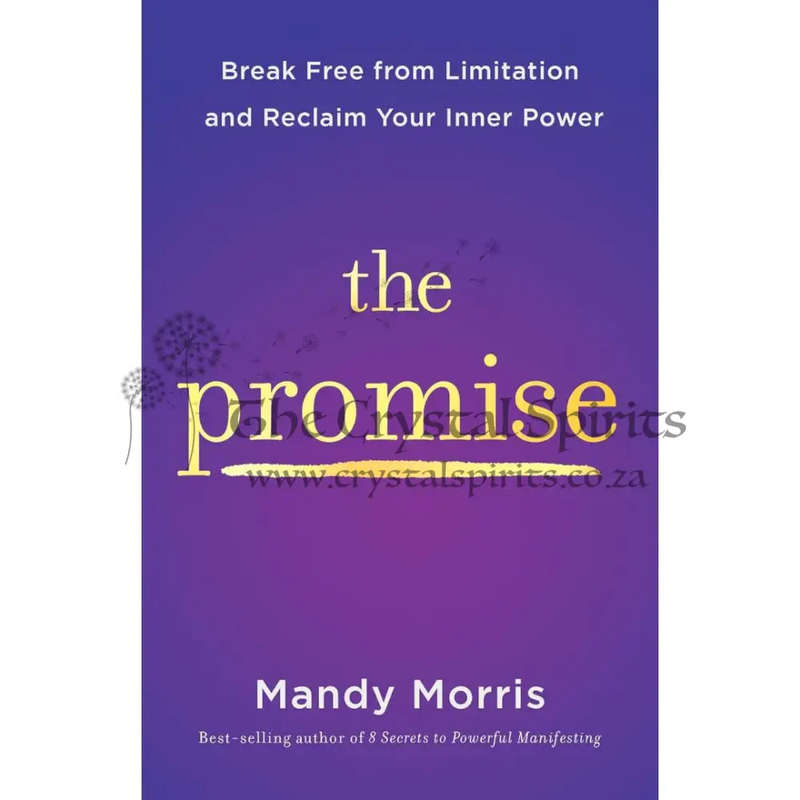 The Promise: Break Free from Limitation and Reclaim Your Inner Power by Mandy Morris