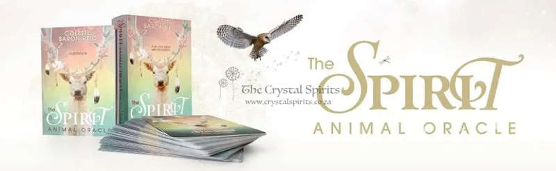 The Spirit Animal Oracle by Colette Baron Reid