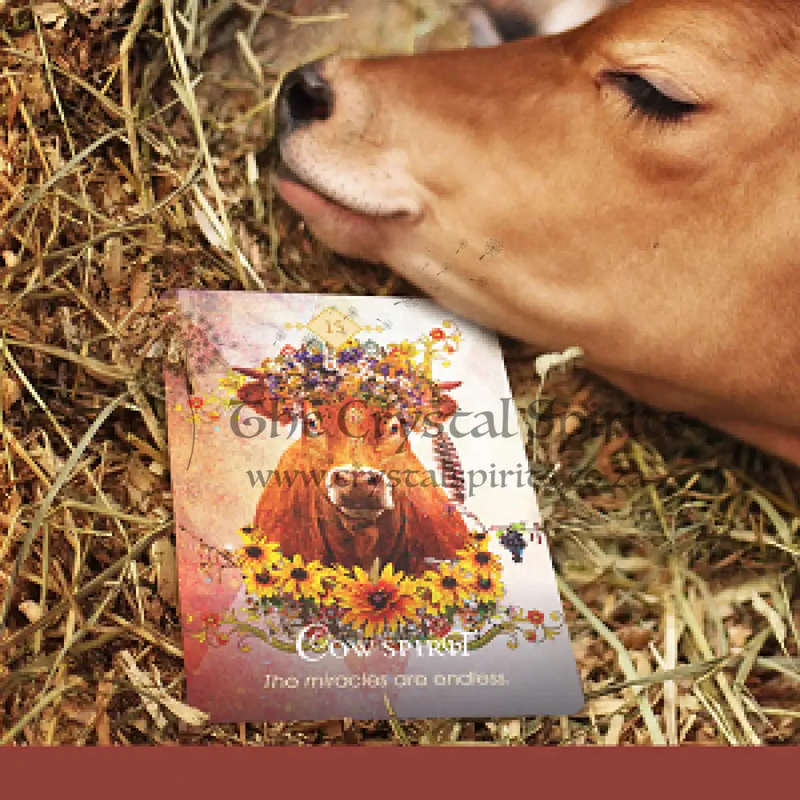 The Spirit Animal Oracle by Colette Baron Reid