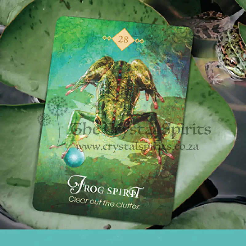 The Spirit Animal Oracle by Colette Baron Reid