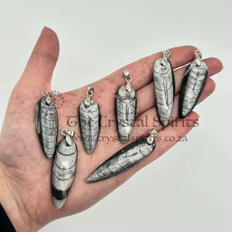 Trilobite Crystal Pendant