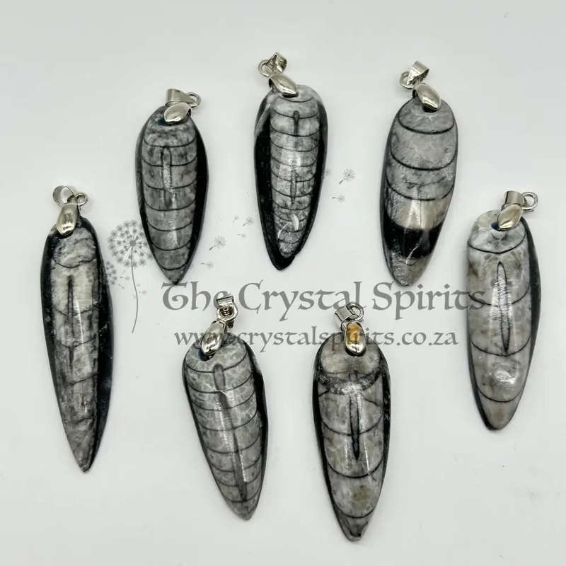 Trilobite Crystal Pendant