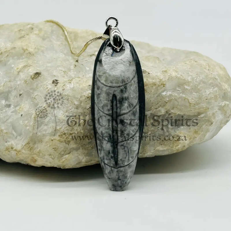 Trilobite Crystal Pendant
