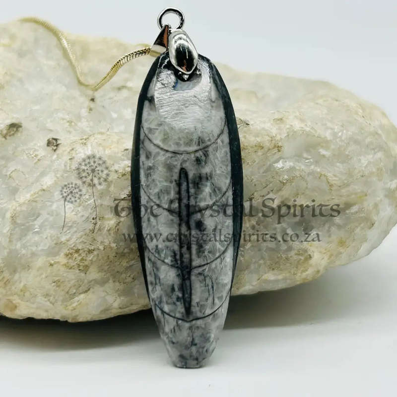 Trilobite Crystal Pendant