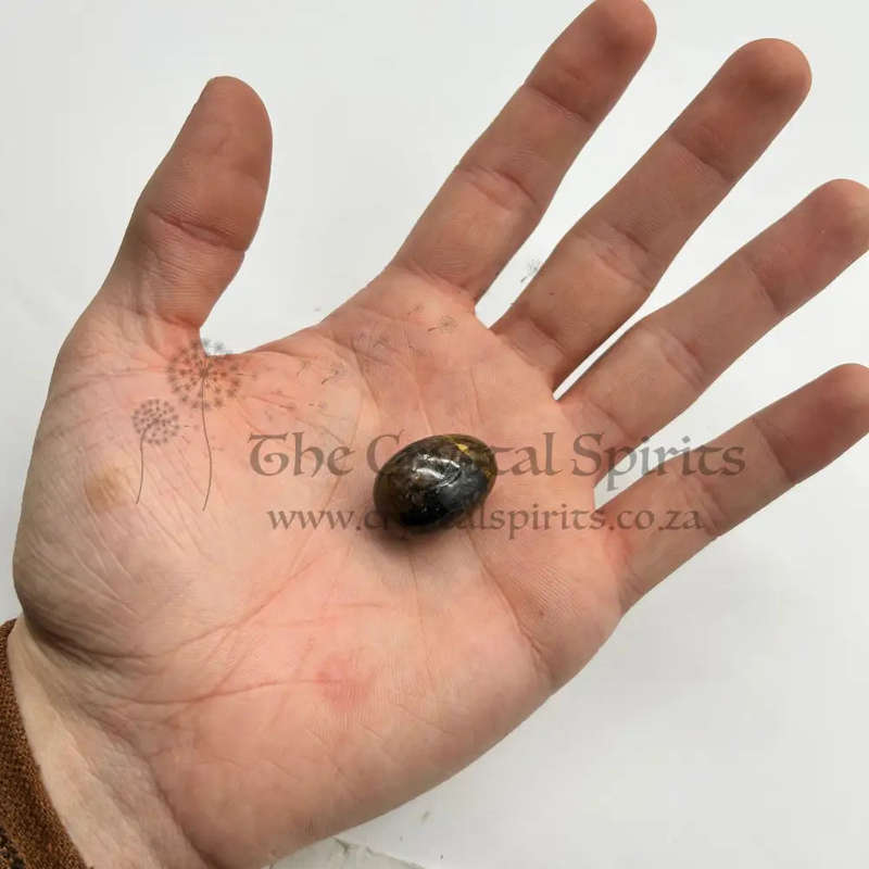 Tumbled Chiastolite