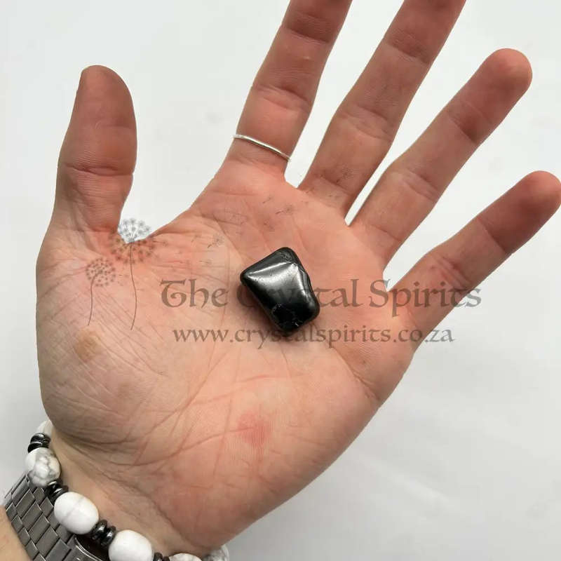 Tumbled Elite Shungite