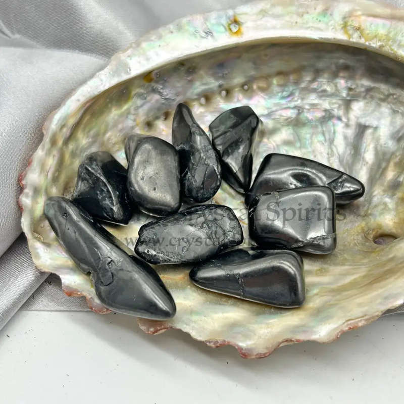 Tumbled Elite Shungite
