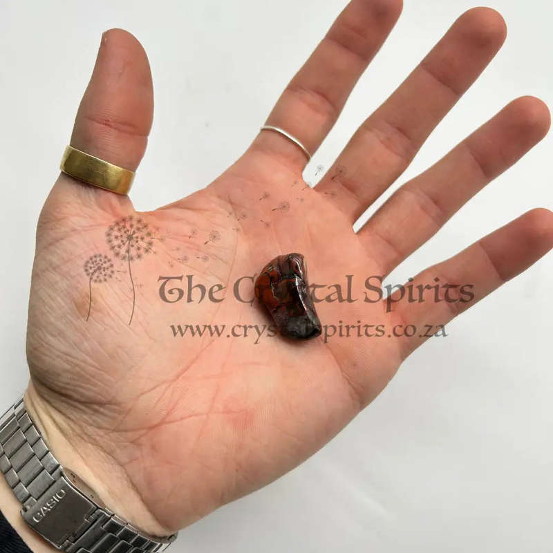 Tumbled Laguna Agate