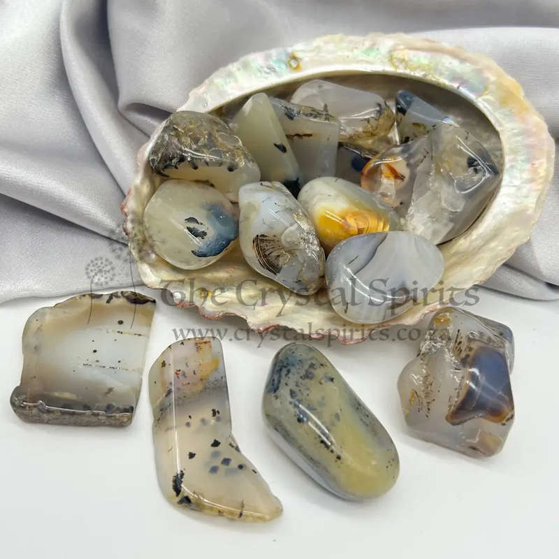 Tumbled Montana (Dendritic) Agate