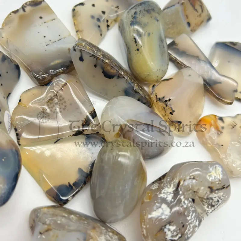 Tumbled Montana (Dendritic) Agate