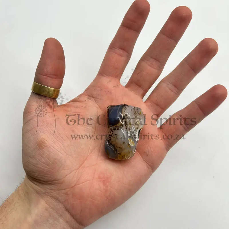 Tumbled Montana (Dendritic) Agate