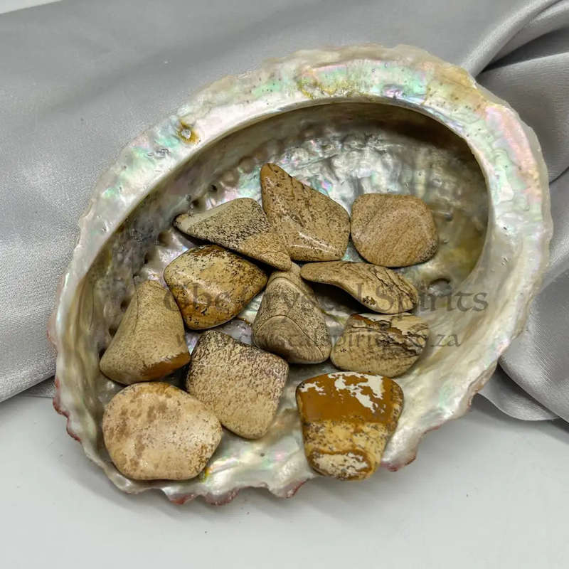 Tumbled Picture Jasper