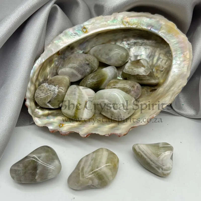 Tumbled Prasiolite (Green Amethyst) Stone