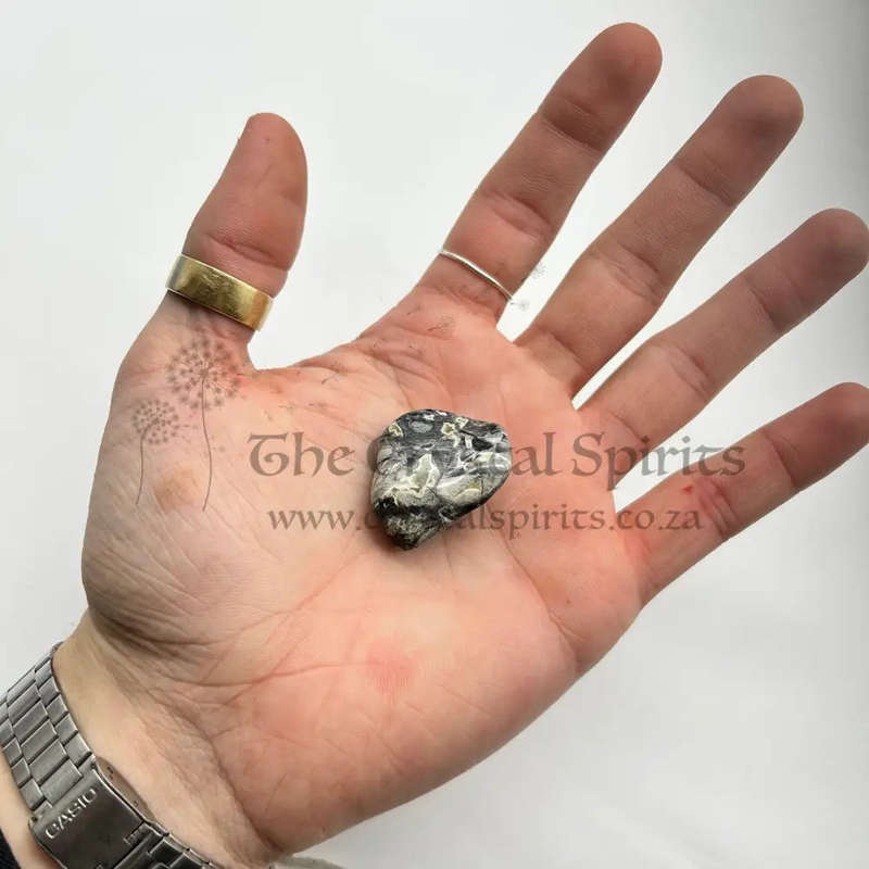 Tumbled Silver Leaf Jasper