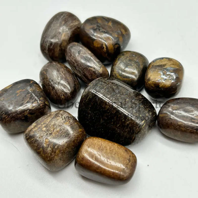 Tumbled Stromatolite