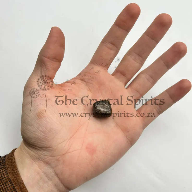 Tumbled Stromatolite