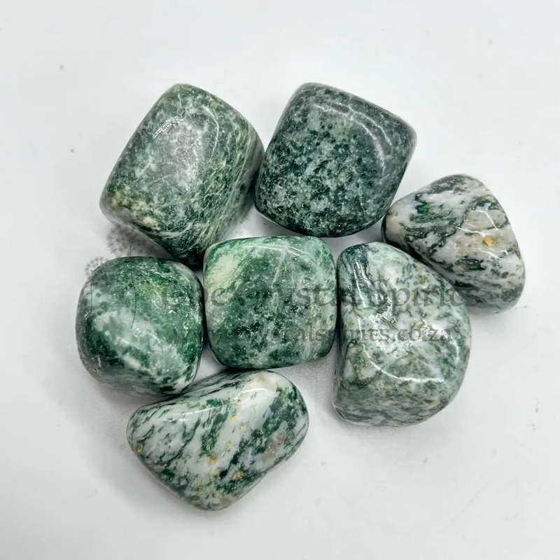 Tumbled Tree Agate