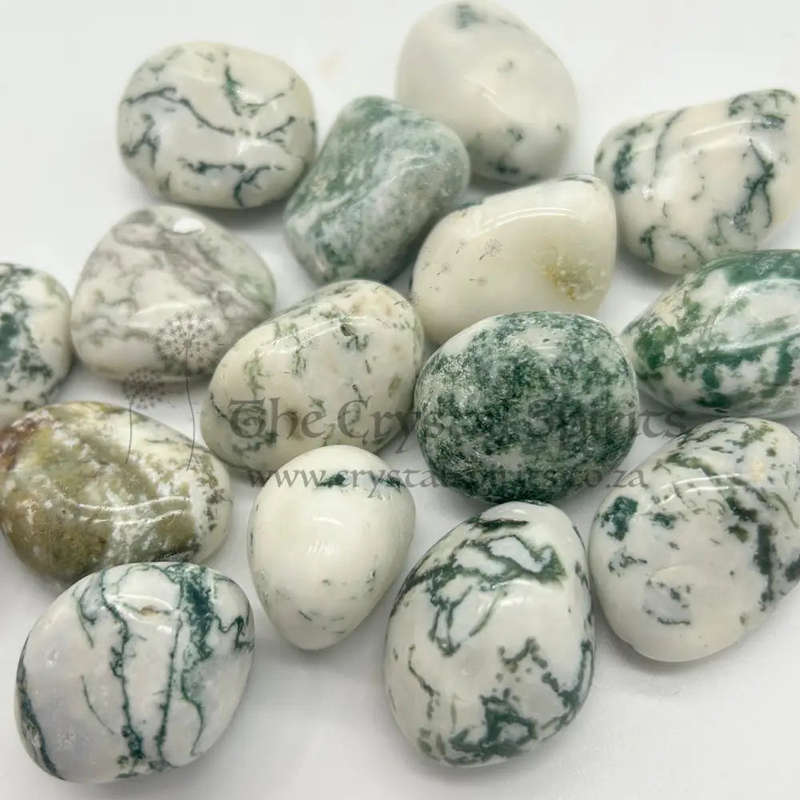 Tumbled Tree Agate