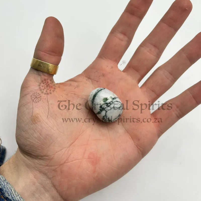 Tumbled Tree Agate