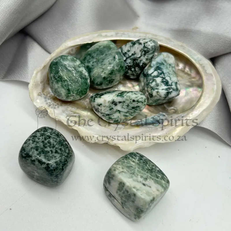 Tumbled Tree Agate