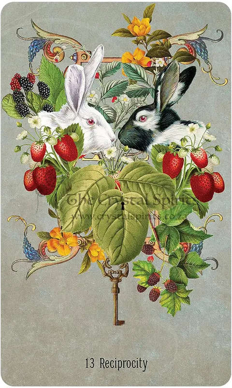 Unlocking The Secret Garden Oracle by Angi Sullins