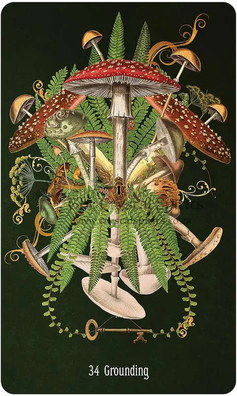 Unlocking The Secret Garden Oracle by Angi Sullins