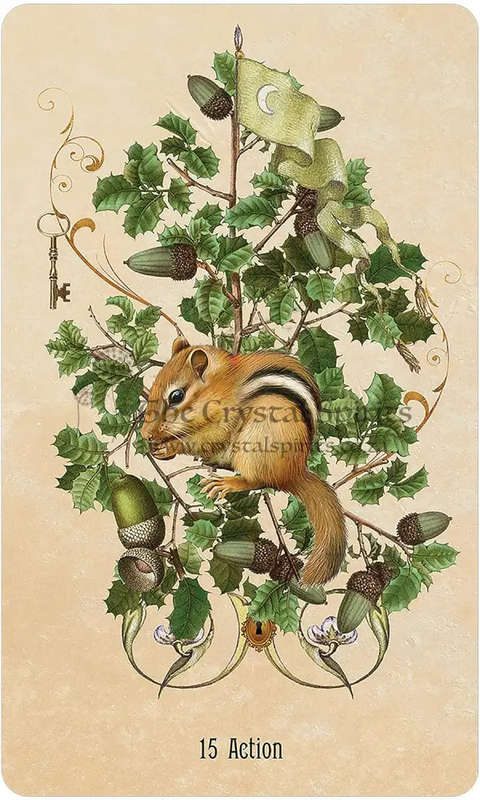 Unlocking The Secret Garden Oracle by Angi Sullins