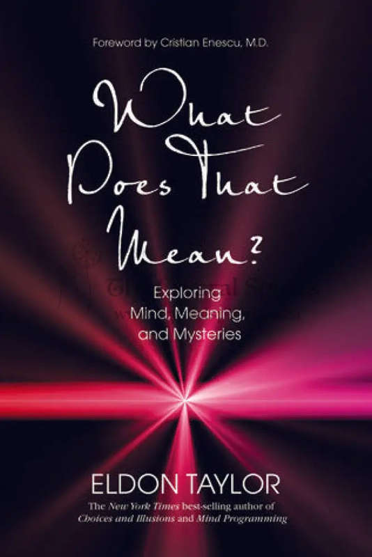 What Does That Mean?: Exploring Mind, Meaning, and Mysteries by Eldon Taylor